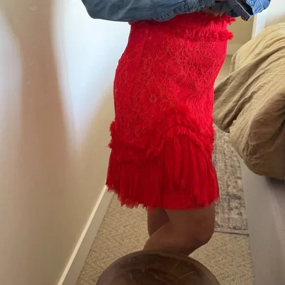 Alexis Scarlet Lace Mini Skirt - Picture 2 of 4